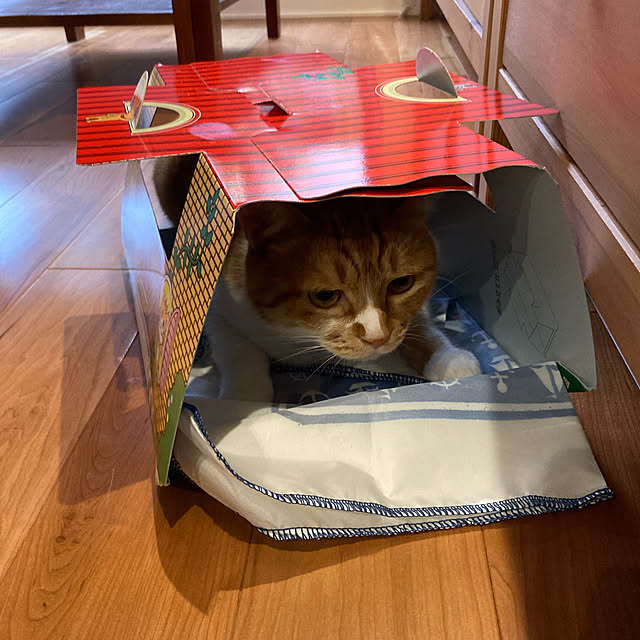 Kobamiさんの実例写真