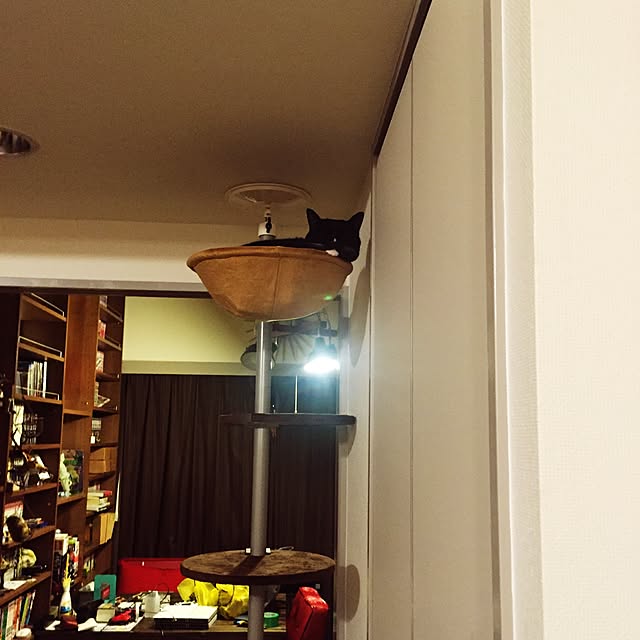 Nawさんの実例写真