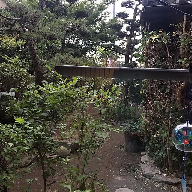 naokazuさんの実例写真