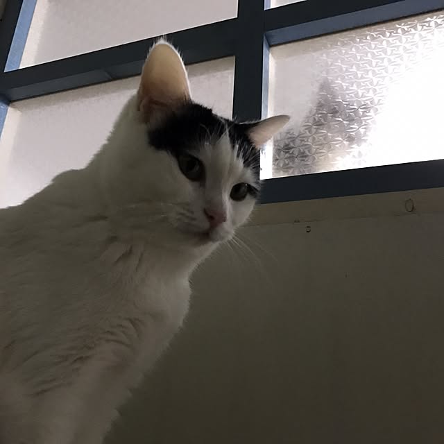 ktnさんの実例写真