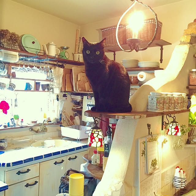 rosemaryさんの実例写真