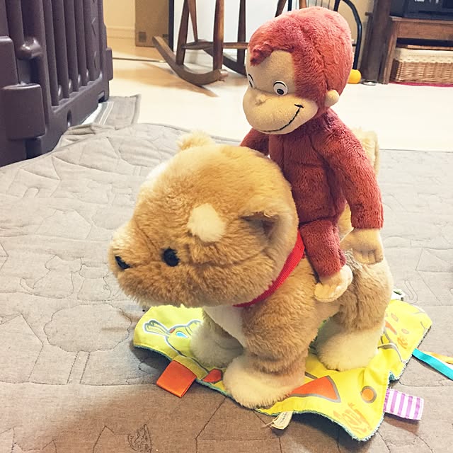 akatukiyukiさんの実例写真