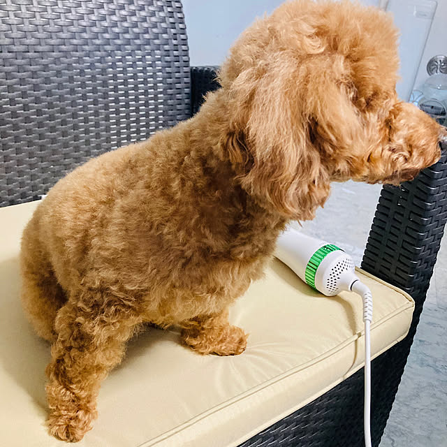 MOMOMAMAさんの部屋