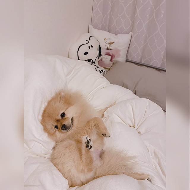 maruさんの実例写真