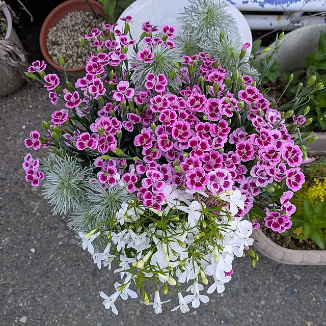 REI.DIYさんの実例写真