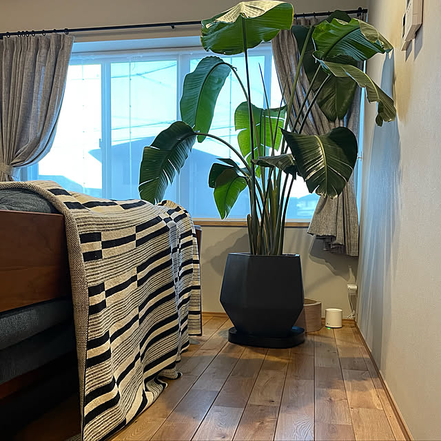 tomo_ppgさんの実例写真