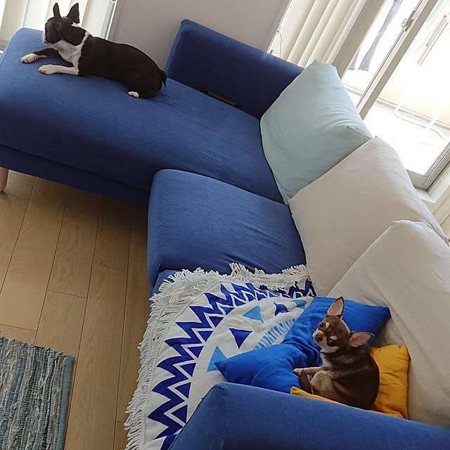 yurikoさんの実例写真