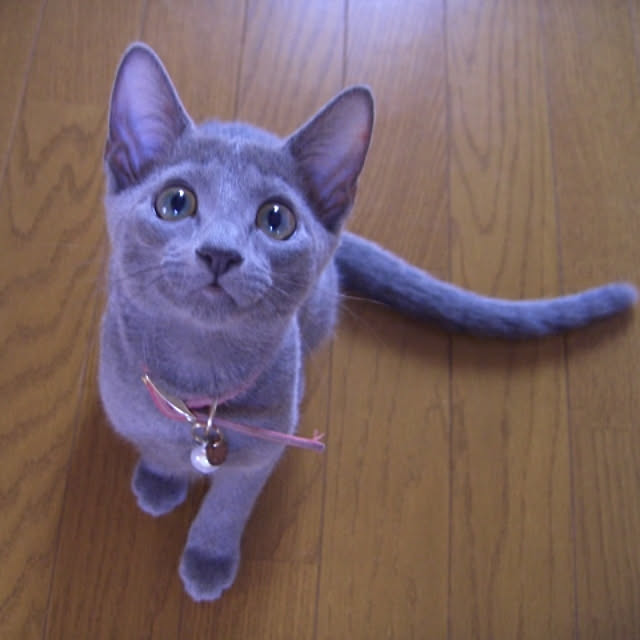tomo1220さんの実例写真