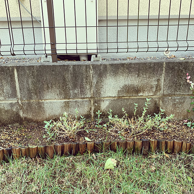 sayamamaさんの実例写真