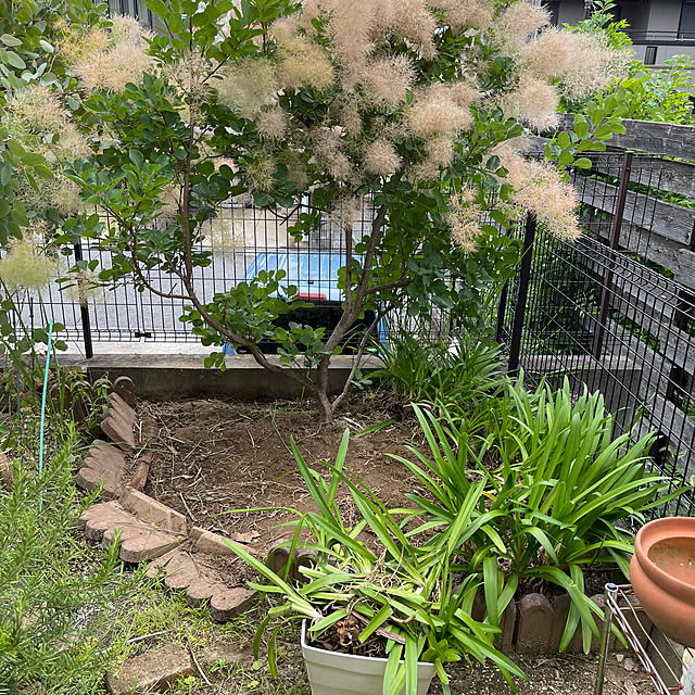 kikiさんの部屋