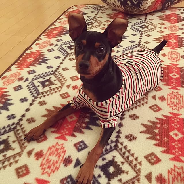 Hitomiさんの実例写真