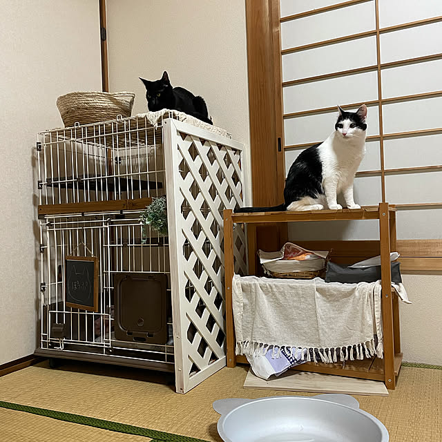harukaさんの実例写真