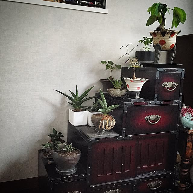 yuyuさんの実例写真
