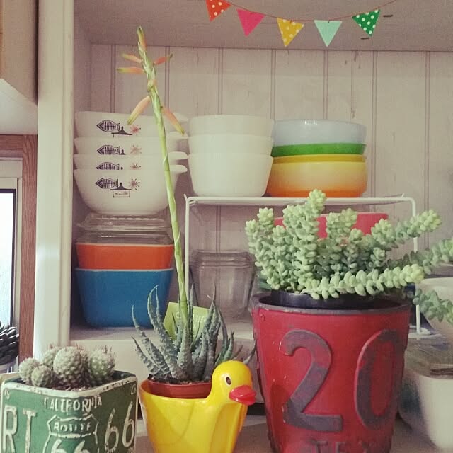 mamitasuさんの実例写真