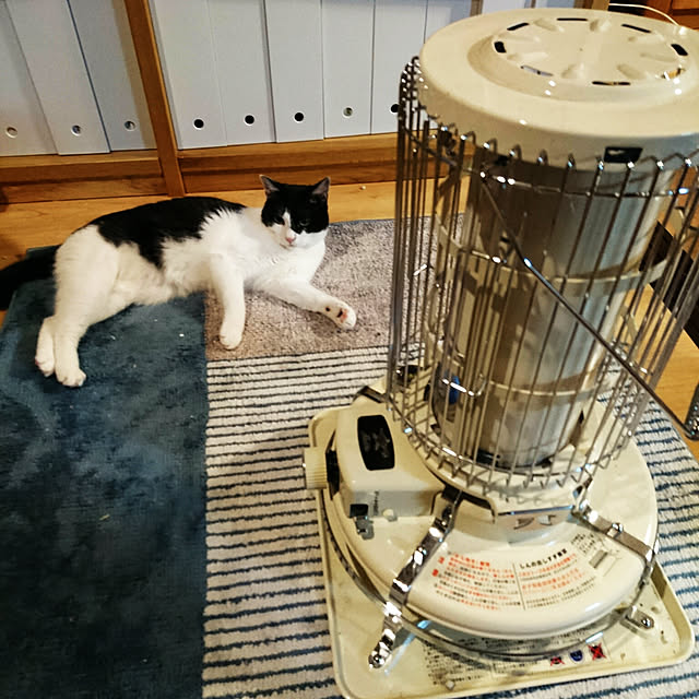YONEDA_Rikiさんの実例写真