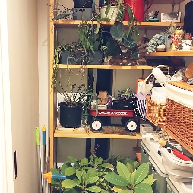 chocococoaさんの実例写真