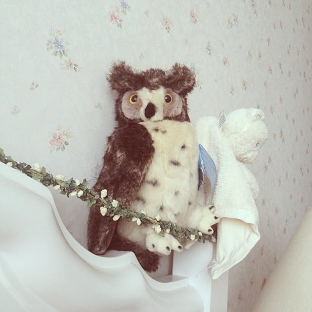 sfyteeさんの実例写真