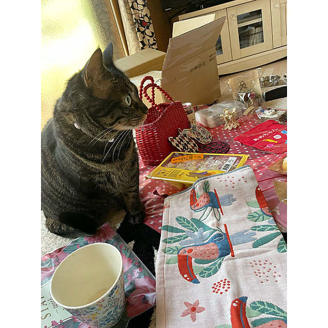 momocchiさんの部屋