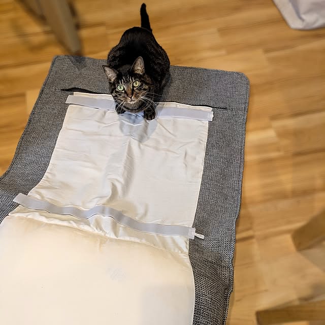 hihaさんの部屋