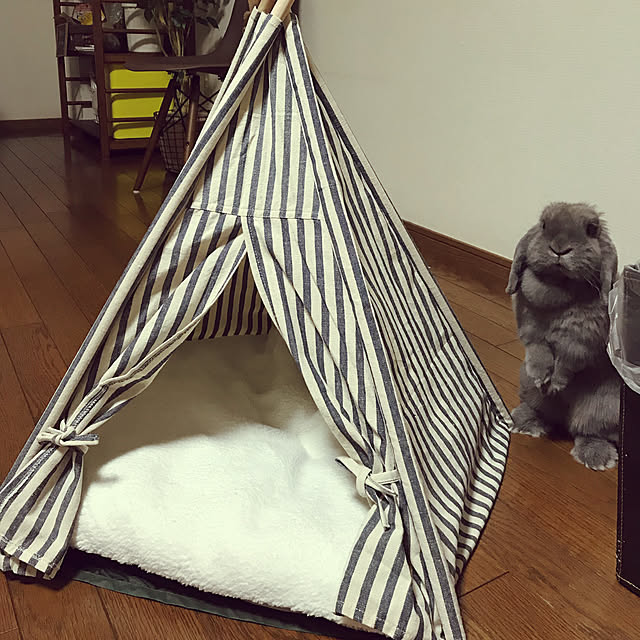 AZUさんの実例写真