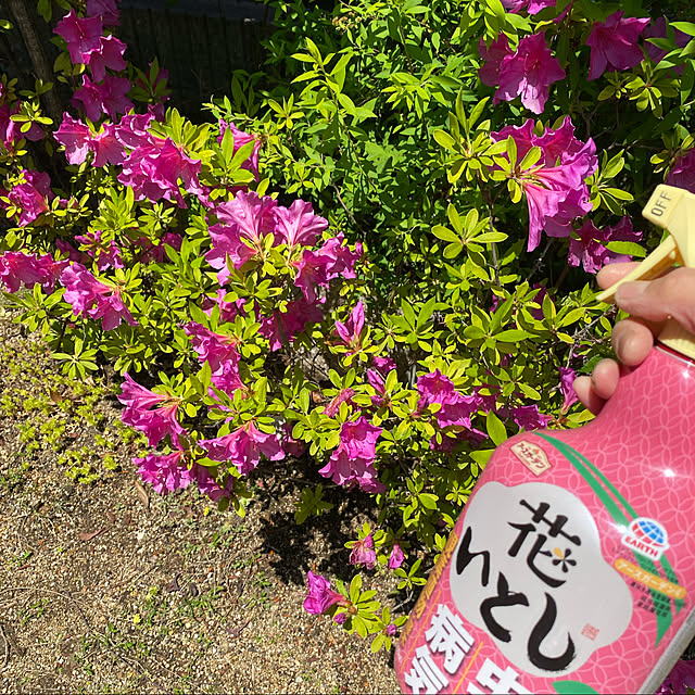 ayaさんの実例写真