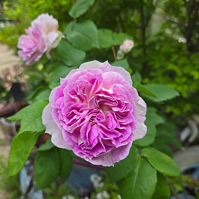min_nimさんの実例写真
