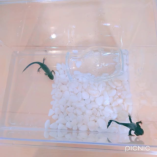 Miyumamaさんの部屋