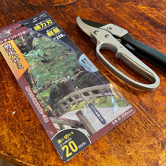 seingさんの実例写真