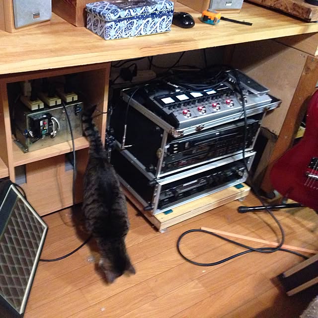 twinyさんの実例写真