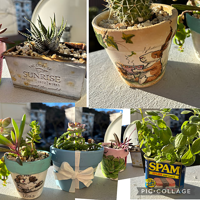 syutmmさんの実例写真