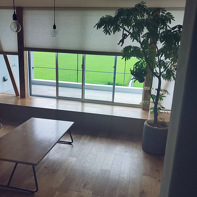 ezさんの実例写真