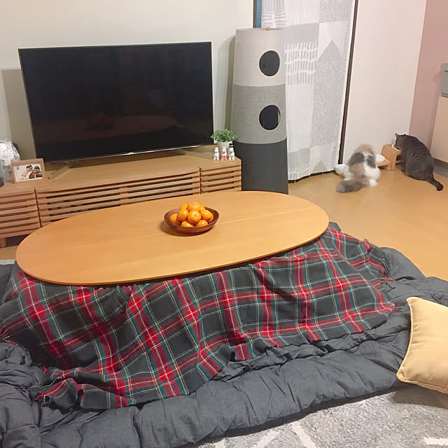 こたつ/猫のいる生活/テレビ台/こたつ　無印良品/クッション...などのインテリア実例 - 2021-12-16 22:32:46