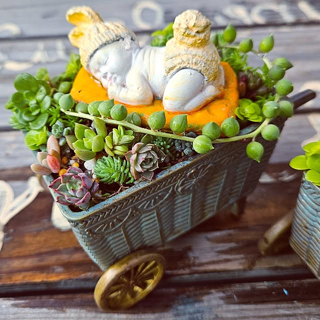 mocomocoさんの部屋