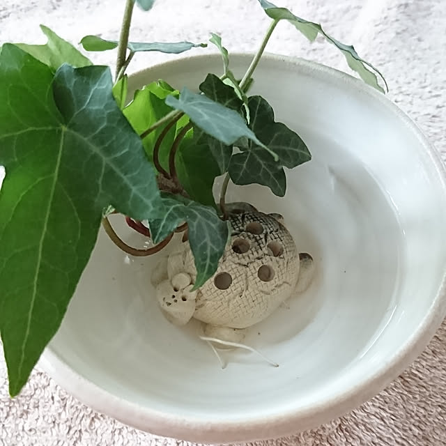 bonobono54さんの実例写真