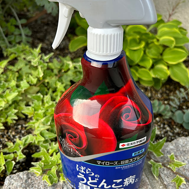 banbinaさんの部屋