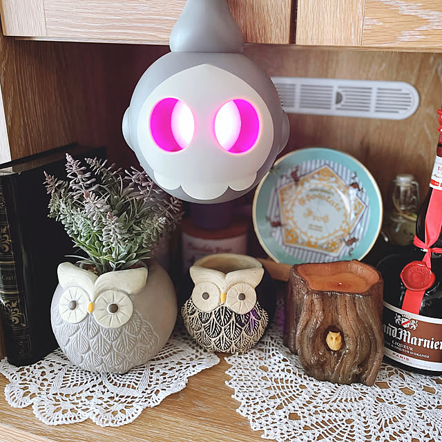 opekさんの部屋