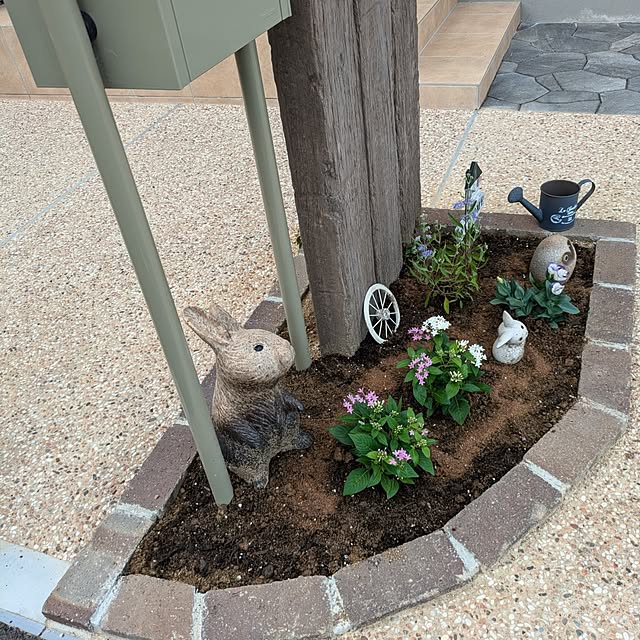 misaさんの実例写真