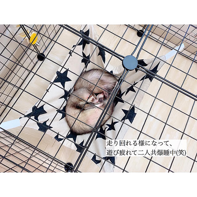 chaluさんの実例写真