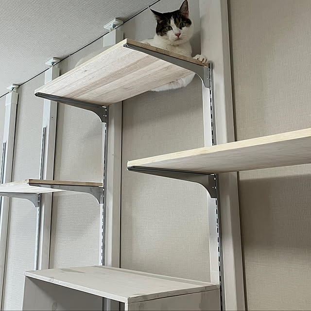 sakさんの実例写真