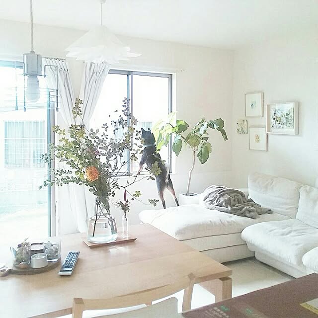 mayuさんの実例写真