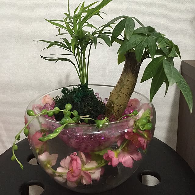 Satokoさんの実例写真