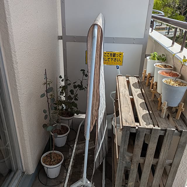 mi-saさんの部屋