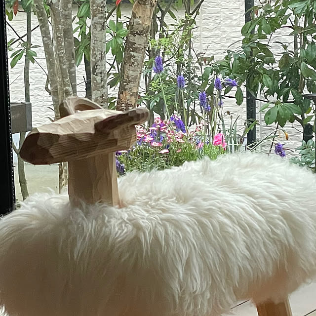 Yumiさんの実例写真