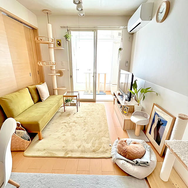 kiyomiさんの部屋