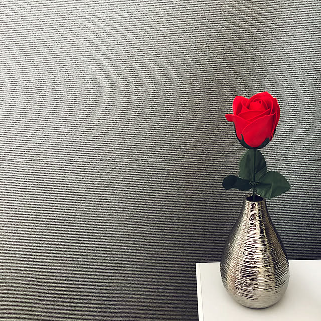 niko3さんの実例写真