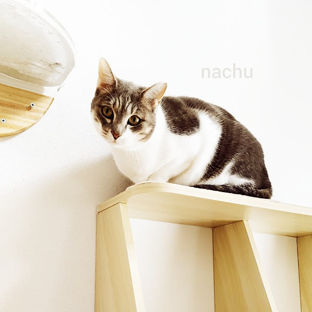 nachuさんの実例写真