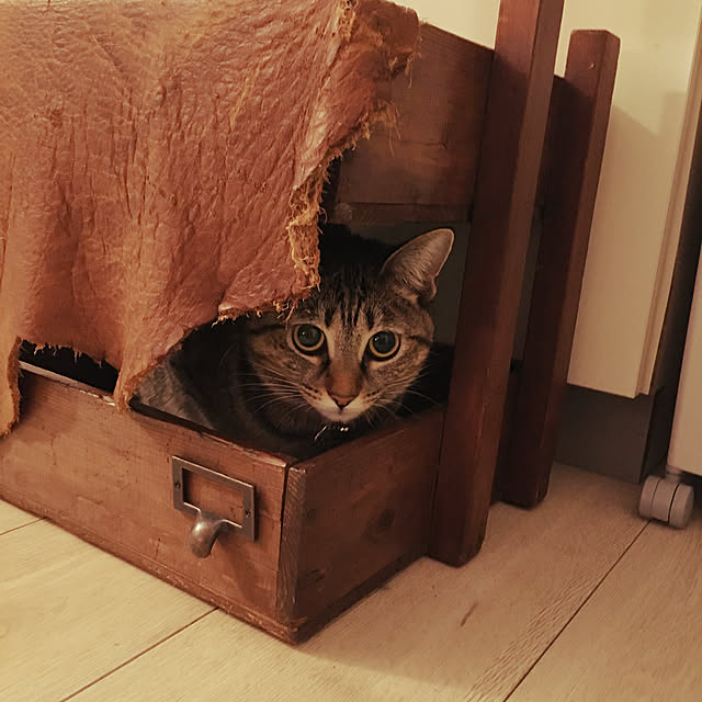 Mさんの実例写真