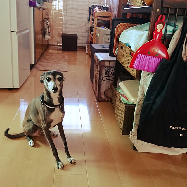 moruさんの実例写真