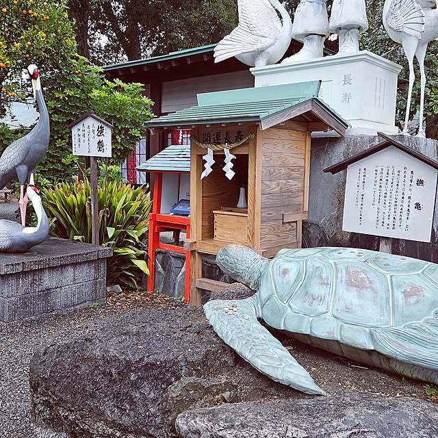 mocomocoさんの部屋