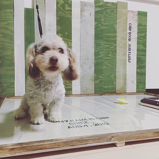 Yayoiさんの実例写真